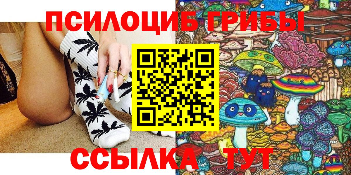 Псилоцибиновые грибы мицелий Советск
